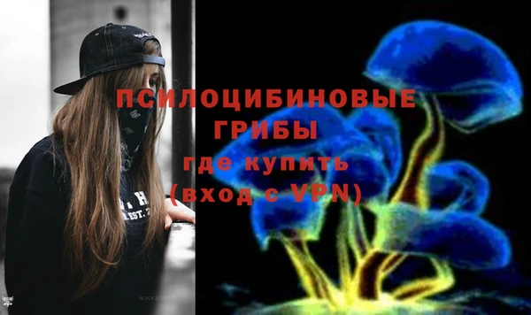 apvp Бронницы